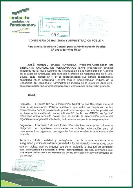 escrito supresion autorizacion prev art30.1pag